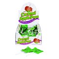 Tootsie Roll Tootsie Caramel Apple Pops Green Apple	 Caramel Lollipop 30 oz 501